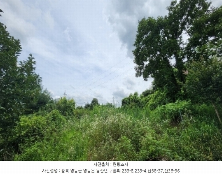 2024타경568 충청북도 영동군 용산면 구촌리 220-2 임야 경매 이미지