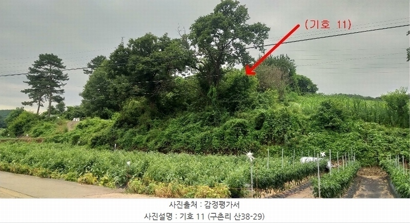2024타경568 충청북도 영동군 용산면 구촌리 220-2 임야 경매 이미지