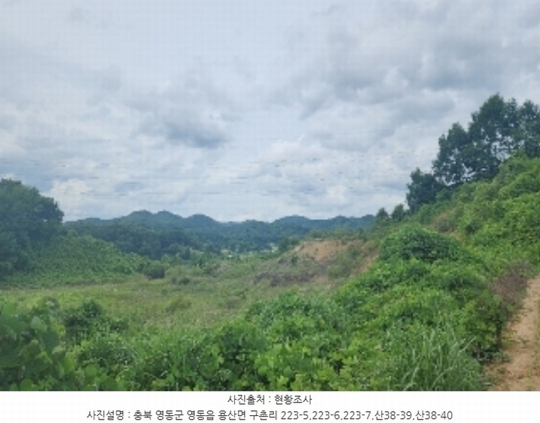2024타경568 충청북도 영동군 용산면 구촌리 220-2 임야 경매 이미지