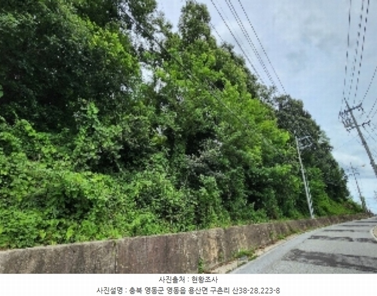 2024타경568 충청북도 영동군 용산면 구촌리 220-2 임야 경매 이미지