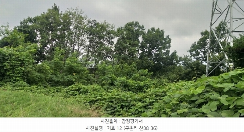 2024타경568 충청북도 영동군 용산면 구촌리 220-2 임야 경매 이미지