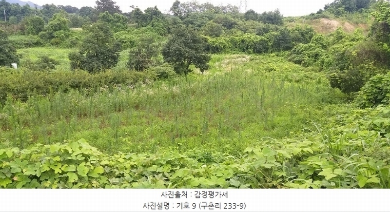 2024타경568 충청북도 영동군 용산면 구촌리 220-2 임야 경매 이미지