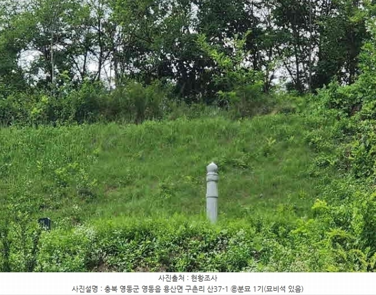 2024타경568 충청북도 영동군 용산면 구촌리 220-2 임야 경매 이미지