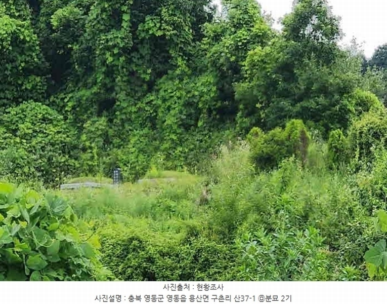 2024타경568 충청북도 영동군 용산면 구촌리 220-2 임야 경매 이미지