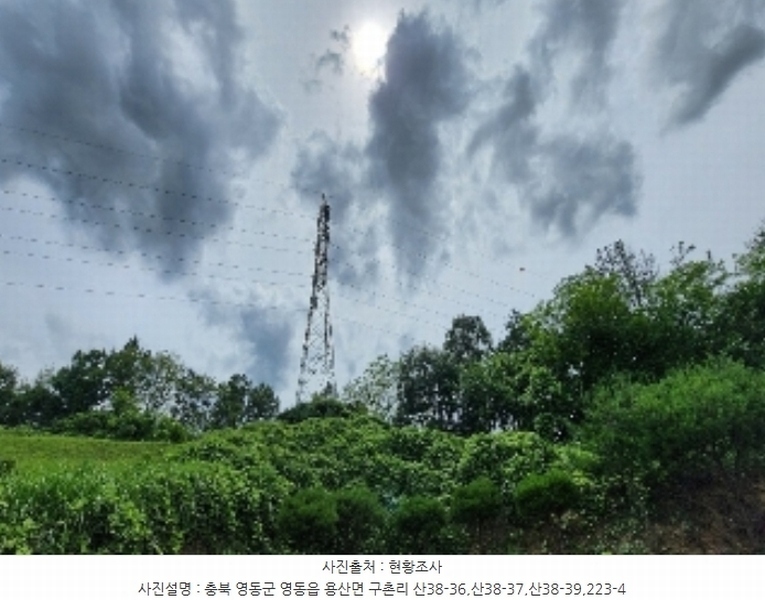 2024타경568 충청북도 영동군 용산면 구촌리 220-2 임야 경매 이미지