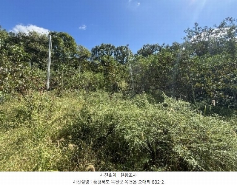 2024타경629 충청북도 옥천군 옥천읍 오대리 882-2 농지 경매 이미지