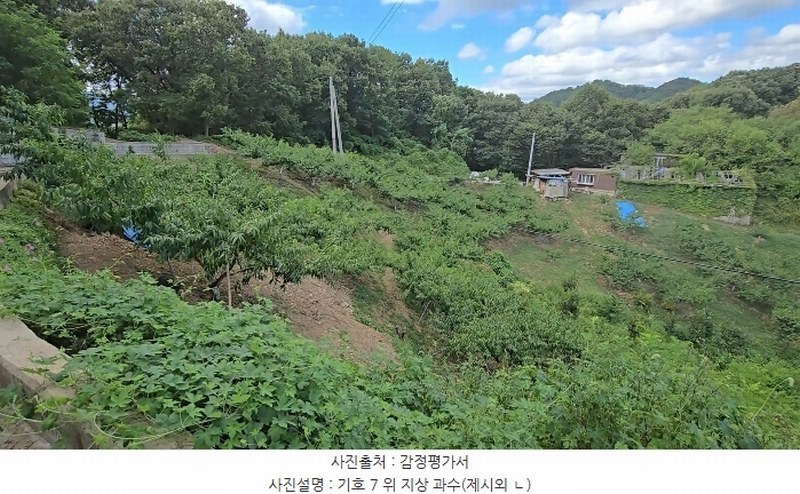 2024타경704 충청북도 영동군 영동읍 계산리 산24-6 임야 경매 이미지