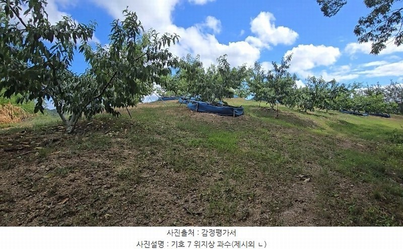 2024타경704 충청북도 영동군 영동읍 계산리 산24-6 임야 경매 이미지