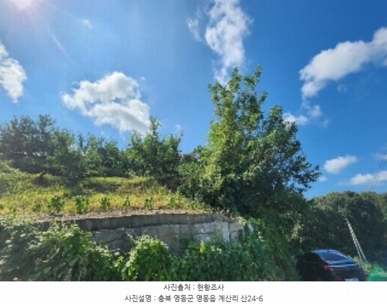 2024타경704 충청북도 영동군 영동읍 계산리 산24-6 임야 경매 이미지