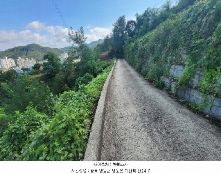 2024타경704 충청북도 영동군 영동읍 계산리 산24-6 임야 경매 이미지