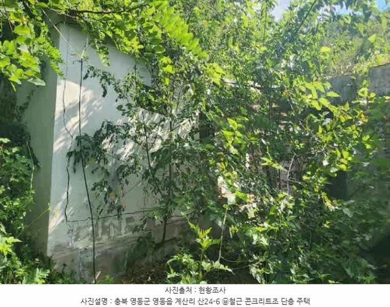 2024타경704 충청북도 영동군 영동읍 계산리 산24-6 임야 경매 이미지