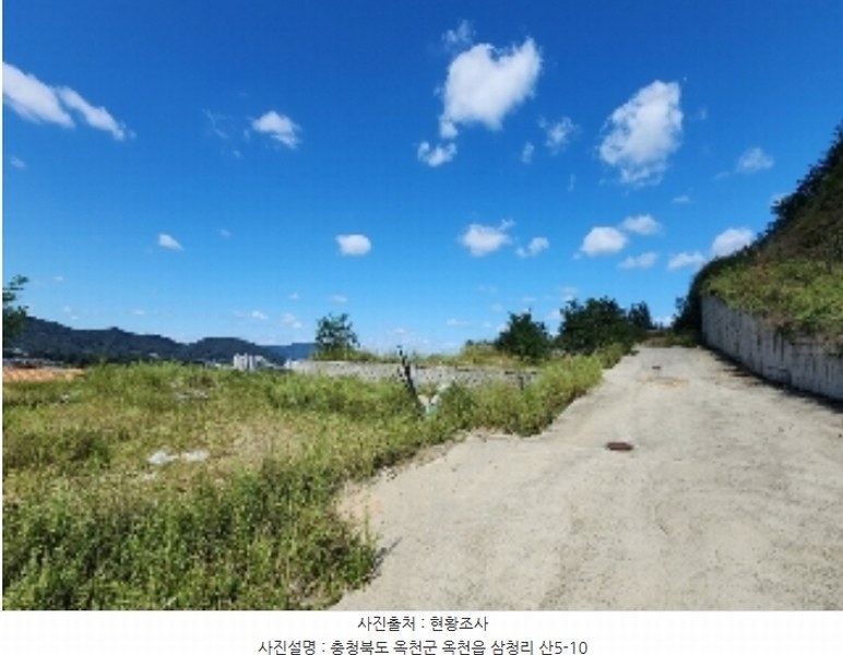 2024타경742 충청북도 옥천군 옥천읍 삼청리 산5-10 임야 경매 이미지