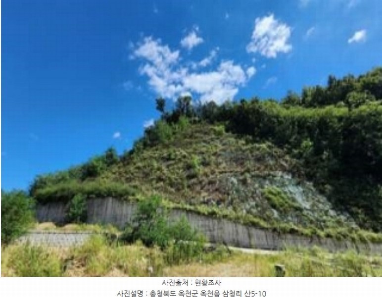 2024타경742 충청북도 옥천군 옥천읍 삼청리 산5-10 임야 경매 이미지