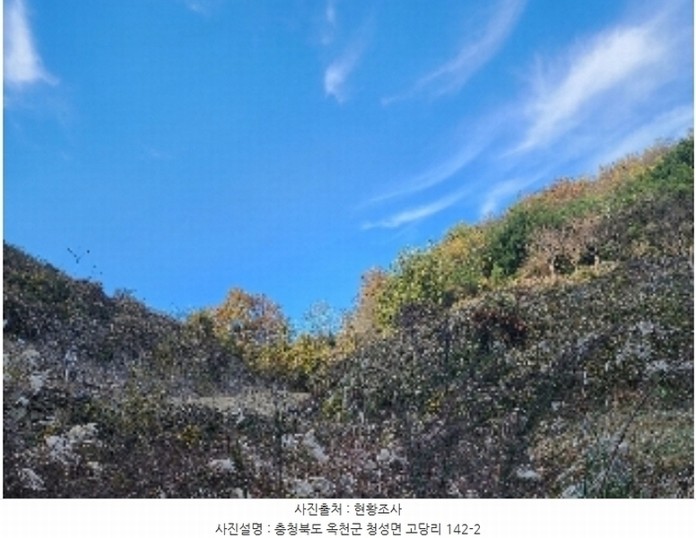 2024타경841 충청북도 옥천군 청성면 고당리 142-2 농지 경매 이미지
