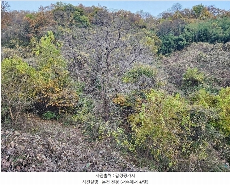 2024타경841 충청북도 옥천군 청성면 고당리 142-2 농지 경매 이미지