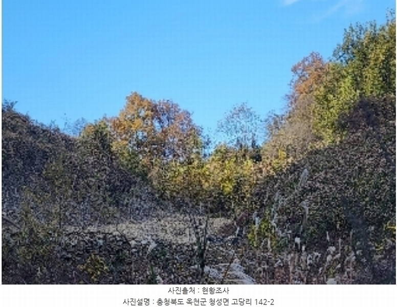 2024타경841 충청북도 옥천군 청성면 고당리 142-2 농지 경매 이미지
