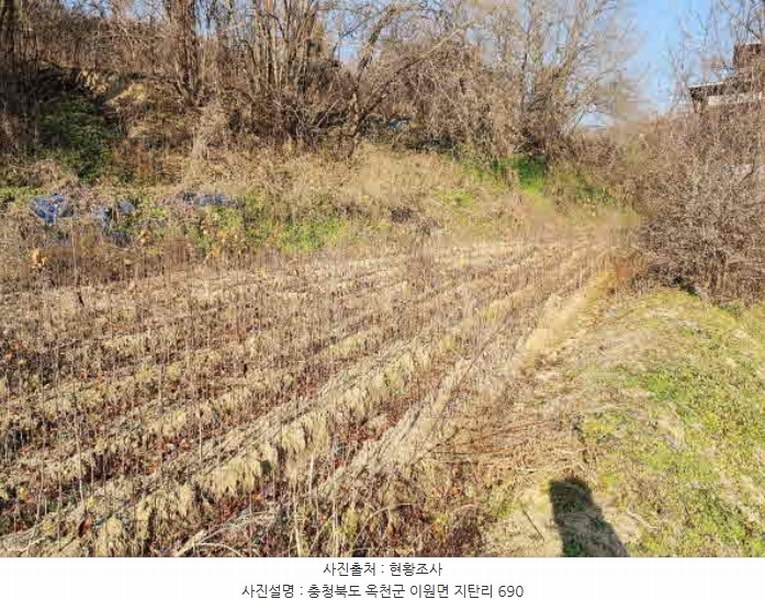 2024타경971 충청북도 옥천군 이원면 지탄리 690 농지 경매 이미지