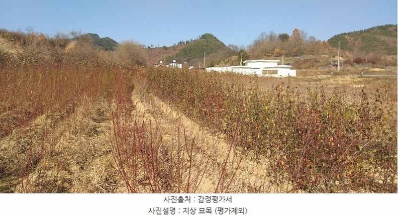 2024타경971 충청북도 옥천군 이원면 지탄리 690 농지 경매 이미지