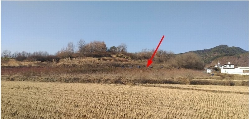 2024타경971 충청북도 옥천군 이원면 지탄리 690 농지 경매 이미지