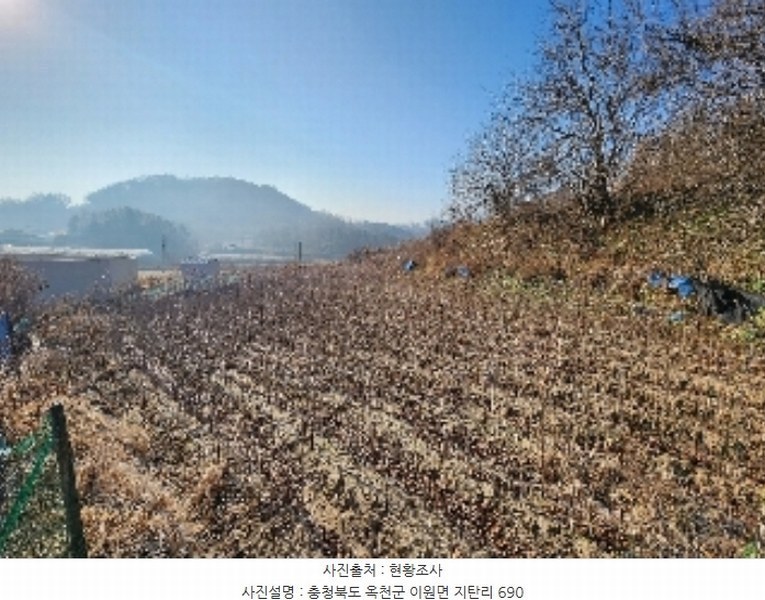 2024타경971 충청북도 옥천군 이원면 지탄리 690 농지 경매 이미지