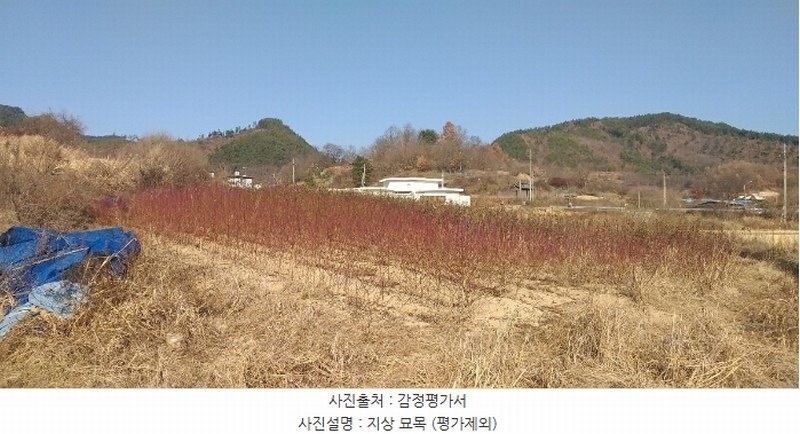 2024타경971 충청북도 옥천군 이원면 지탄리 690 농지 경매 이미지
