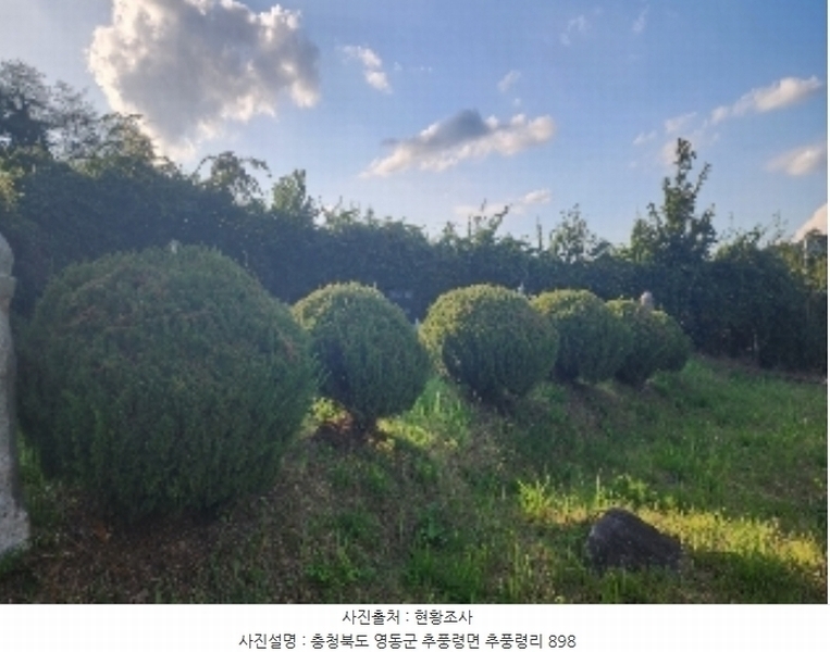 2024타경11223 충청북도 영동군 추풍령면 추풍령리 898 농지 경매 이미지