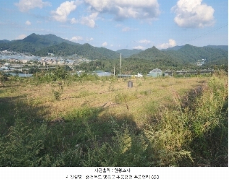 2024타경11223 충청북도 영동군 추풍령면 추풍령리 898 농지 경매 이미지