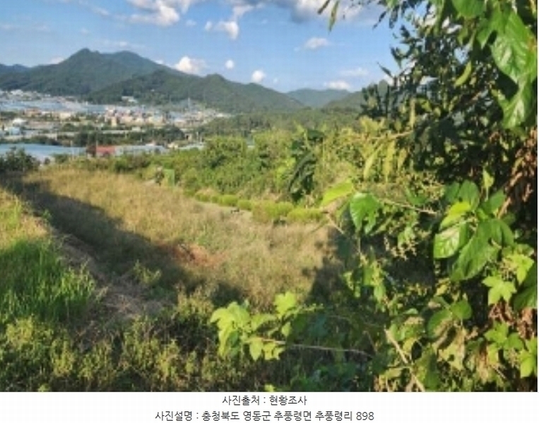 2024타경11223 충청북도 영동군 추풍령면 추풍령리 898 농지 경매 이미지