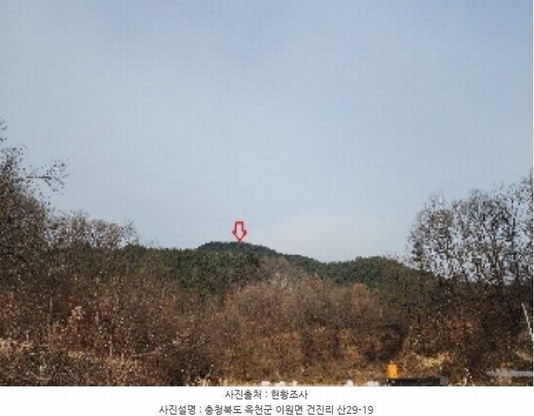 2024타경11650 충청북도 옥천군 이원면 건진리 산29-19 임야 경매 이미지