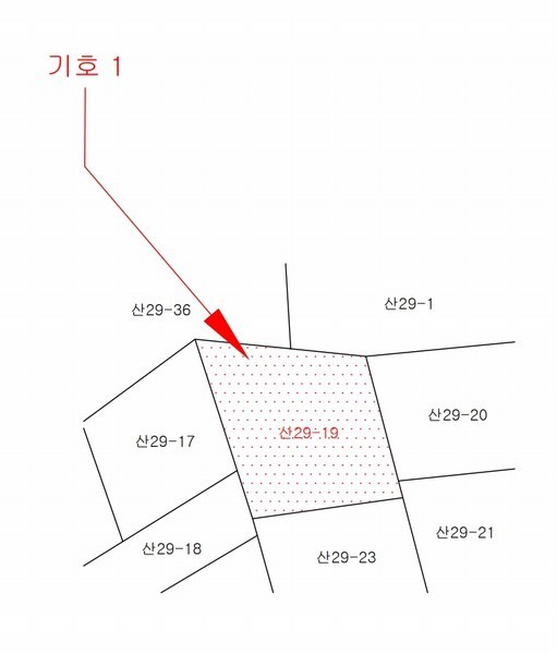 2024타경11650 충청북도 옥천군 이원면 건진리 산29-19 임야 경매 이미지