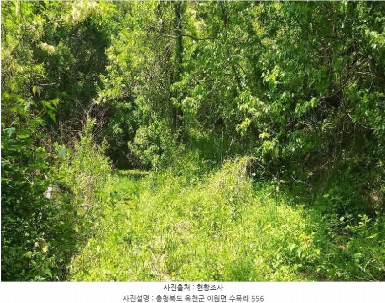 2024타경11674 충청북도 옥천군 이원면 수묵리 556 농지 경매 이미지