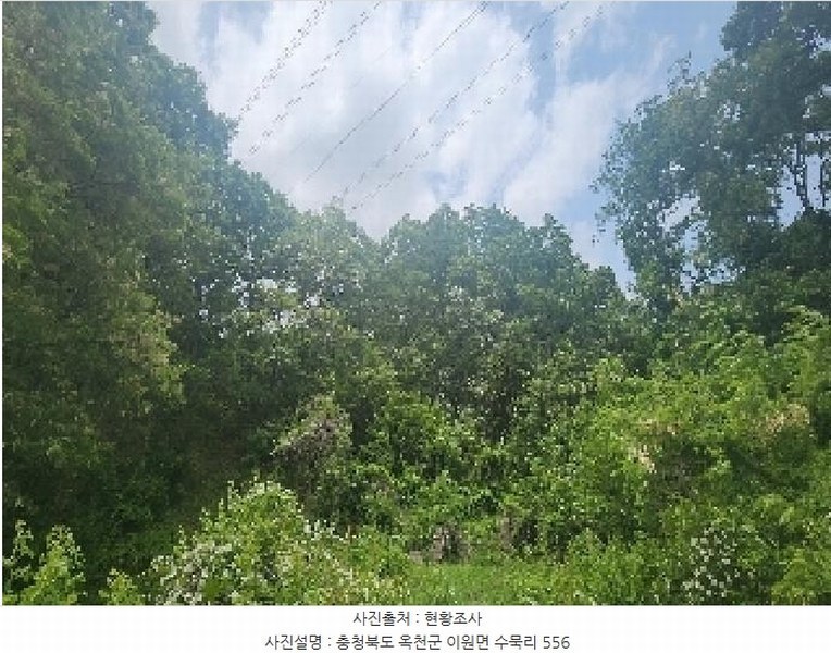 2024타경11674 충청북도 옥천군 이원면 수묵리 556 농지 경매 이미지