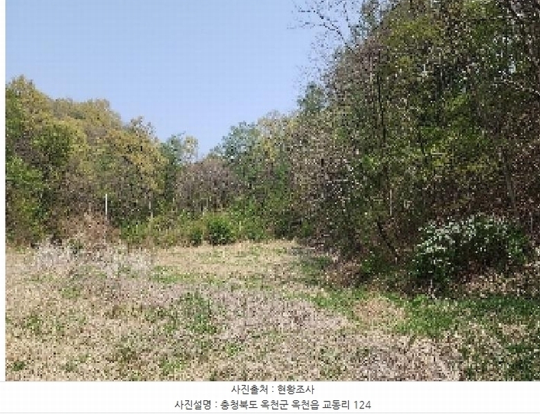 2025타경66 충청북도 옥천군 옥천읍 교동리 124 농지 경매 이미지