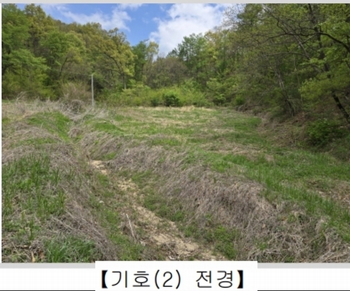 2025타경66 충청북도 옥천군 옥천읍 교동리 124 농지 경매 이미지