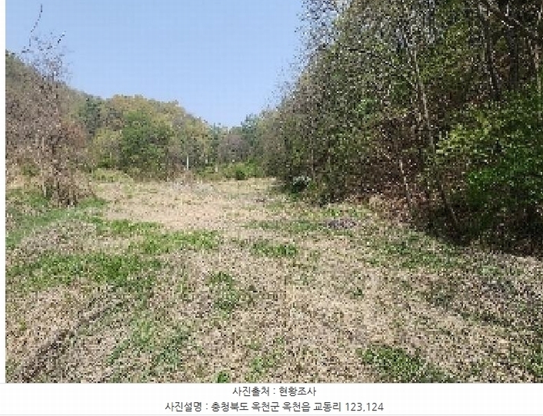2025타경66 충청북도 옥천군 옥천읍 교동리 124 농지 경매 이미지