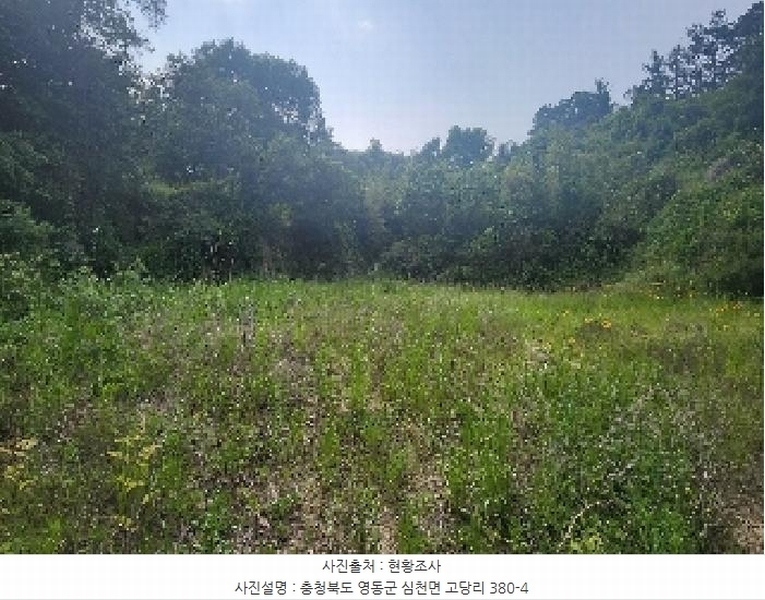 2025타경78 충청북도 영동군 심천면 고당리 380-4 농지 경매 이미지