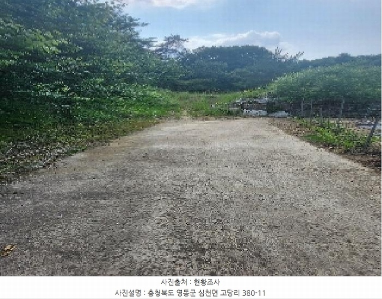 2025타경78 충청북도 영동군 심천면 고당리 380-4 농지 경매 이미지