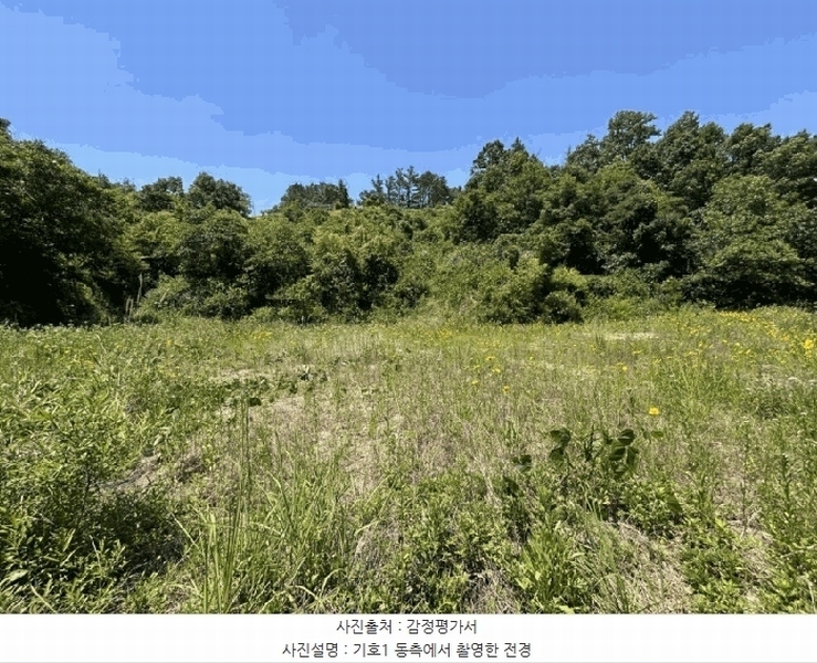 2025타경78 충청북도 영동군 심천면 고당리 380-4 농지 경매 이미지