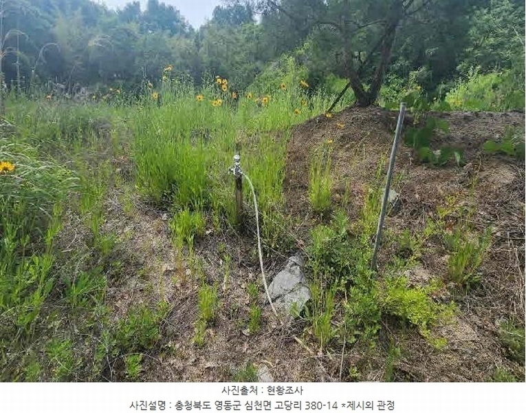 2025타경78 충청북도 영동군 심천면 고당리 380-4 농지 경매 이미지