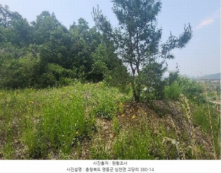 2025타경78 충청북도 영동군 심천면 고당리 380-4 농지 경매 이미지
