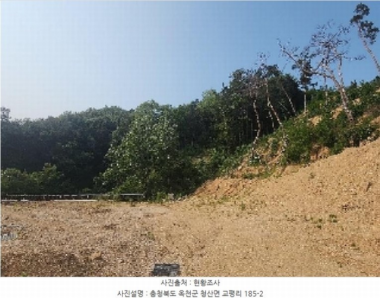 2025타경82 충청북도 옥천군 청산면 교평리 185-1 농지 경매 이미지