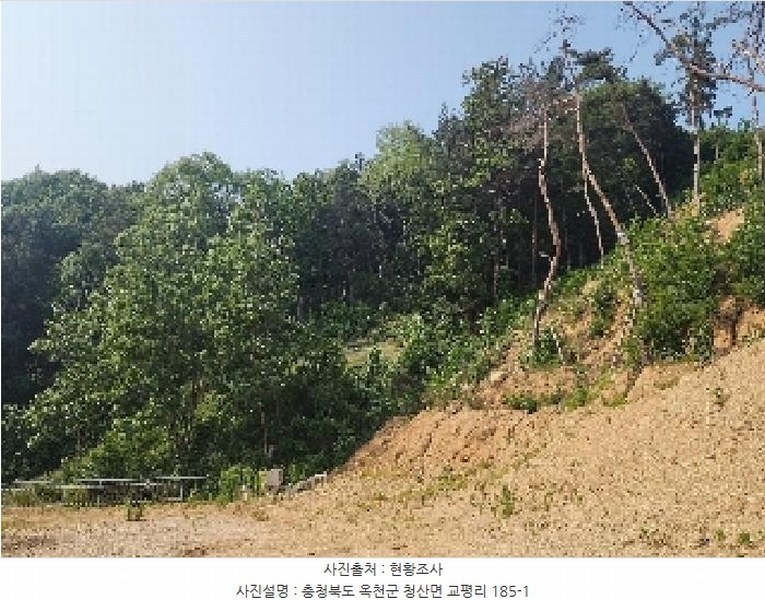 2025타경82 충청북도 옥천군 청산면 교평리 185-1 농지 경매 이미지