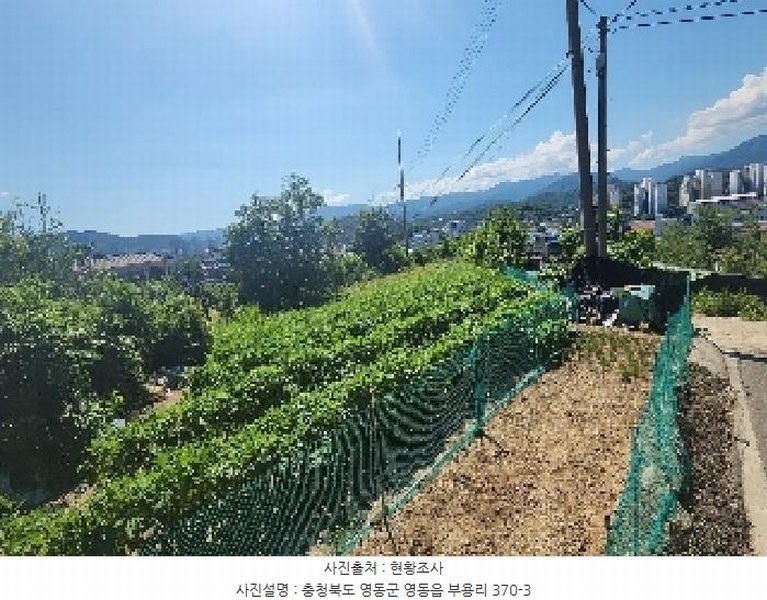 2025타경93 충청북도 영동군 영동읍 부용리 370-3 농지 경매 이미지