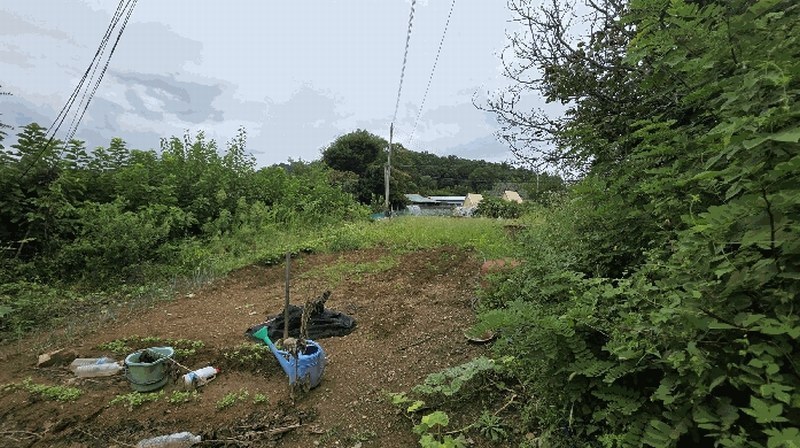 2025타경93 충청북도 영동군 영동읍 부용리 370-3 농지 경매 이미지