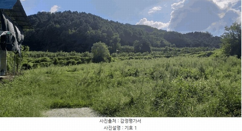 2025타경111 충청북도 옥천군 안내면 오덕리 235-2 농지 경매 이미지