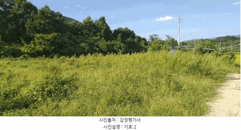 2025타경111 충청북도 옥천군 안내면 오덕리 235-2 농지 경매 이미지