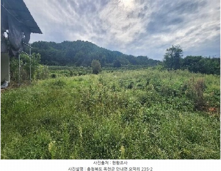 2025타경111 충청북도 옥천군 안내면 오덕리 235-2 농지 경매 이미지