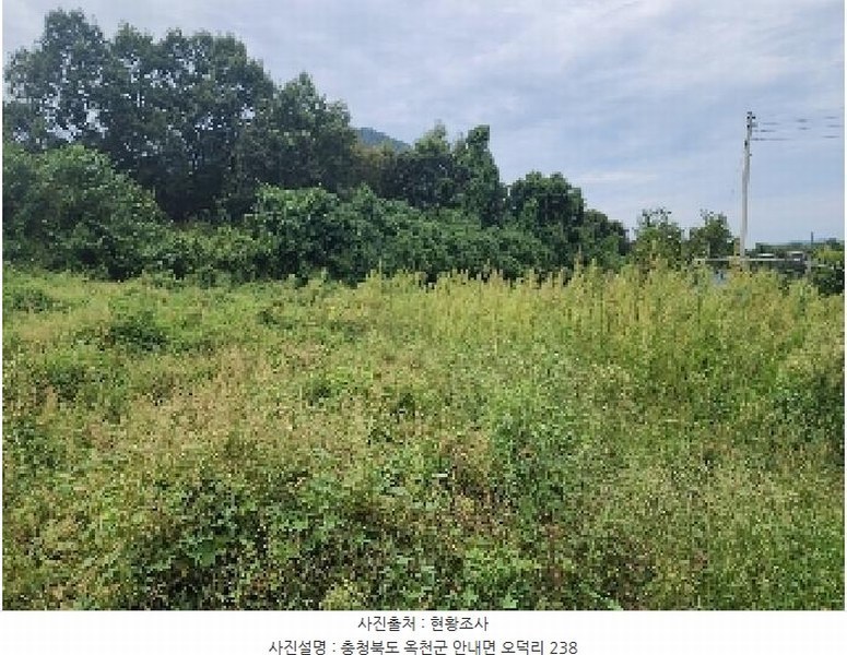 2025타경111 충청북도 옥천군 안내면 오덕리 235-2 농지 경매 이미지