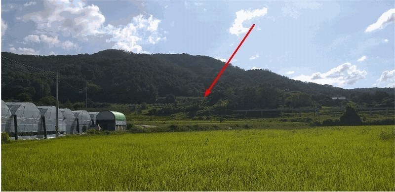 2025타경111 충청북도 옥천군 안내면 오덕리 235-2 농지 경매 이미지