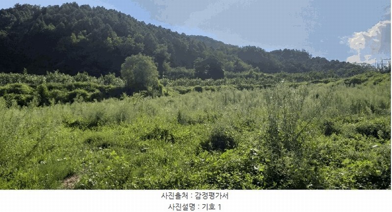 2025타경111 충청북도 옥천군 안내면 오덕리 235-2 농지 경매 이미지